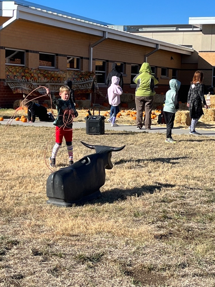 Live Feed Blackmore Elementary School